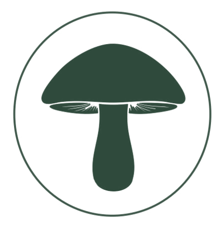 Cultiva tus Setas